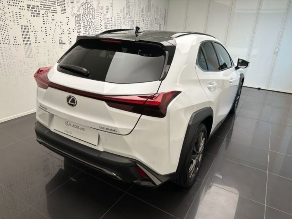 Lexus UX usata a Cuneo (3)