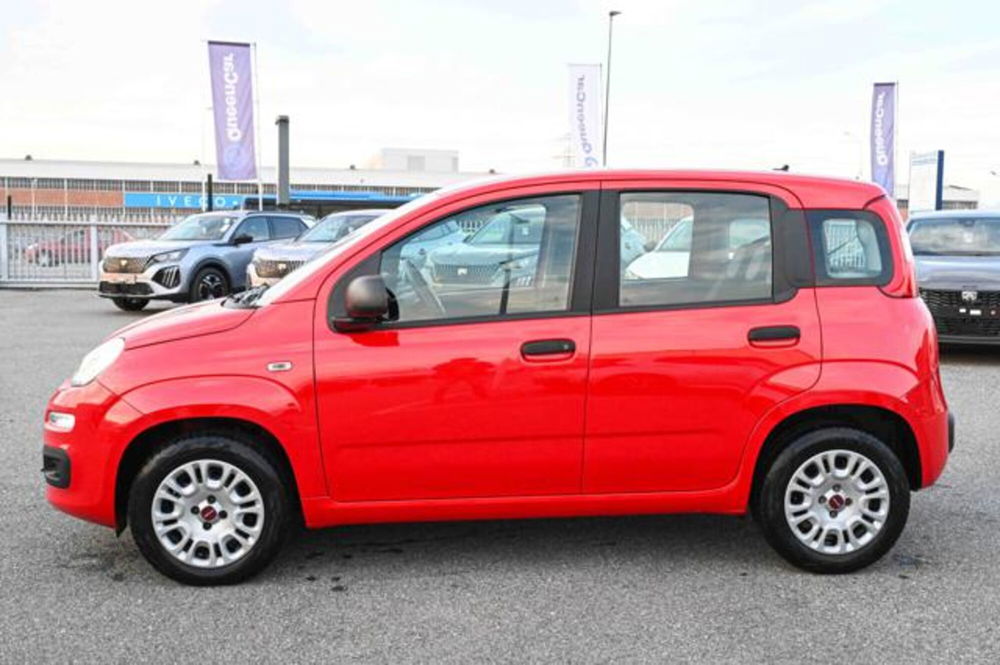 Fiat Panda usata a Torino (8)