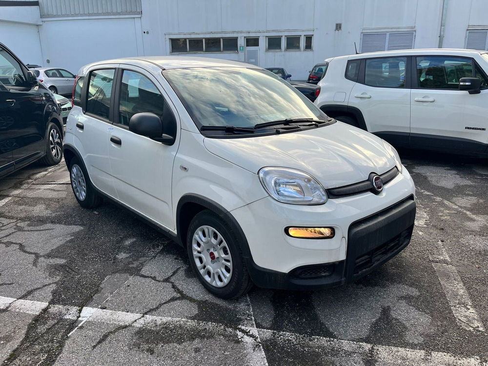 Fiat Panda Cross nuova a Milano (3)