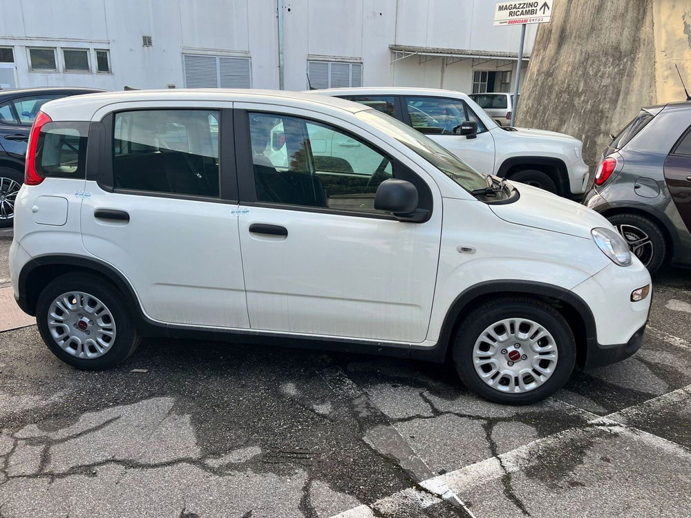 Fiat Panda Cross nuova a Milano (4)