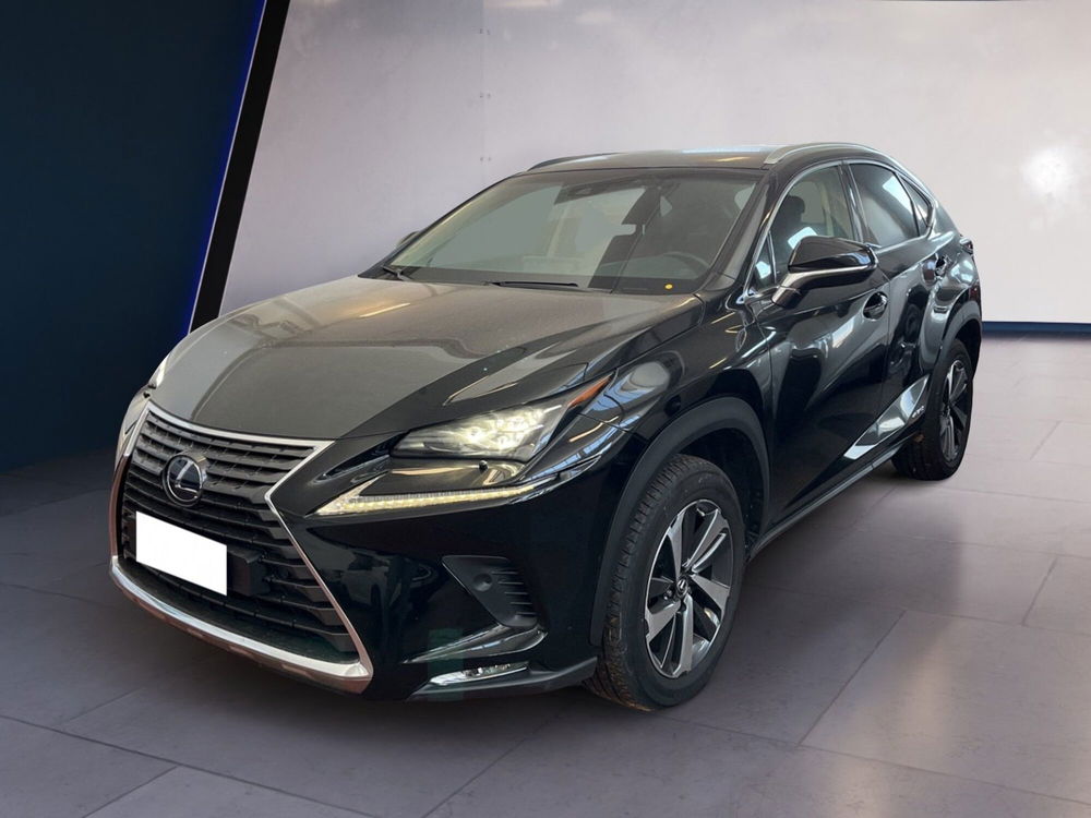 Lexus NX usata a Torino (2)