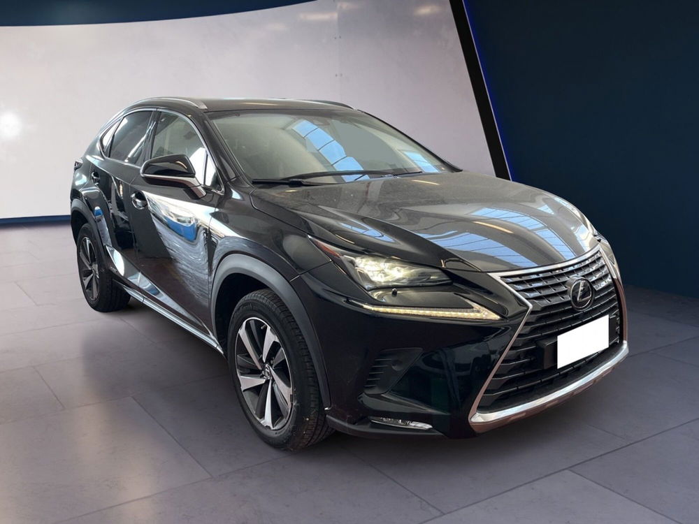 Lexus NX usata a Torino (3)