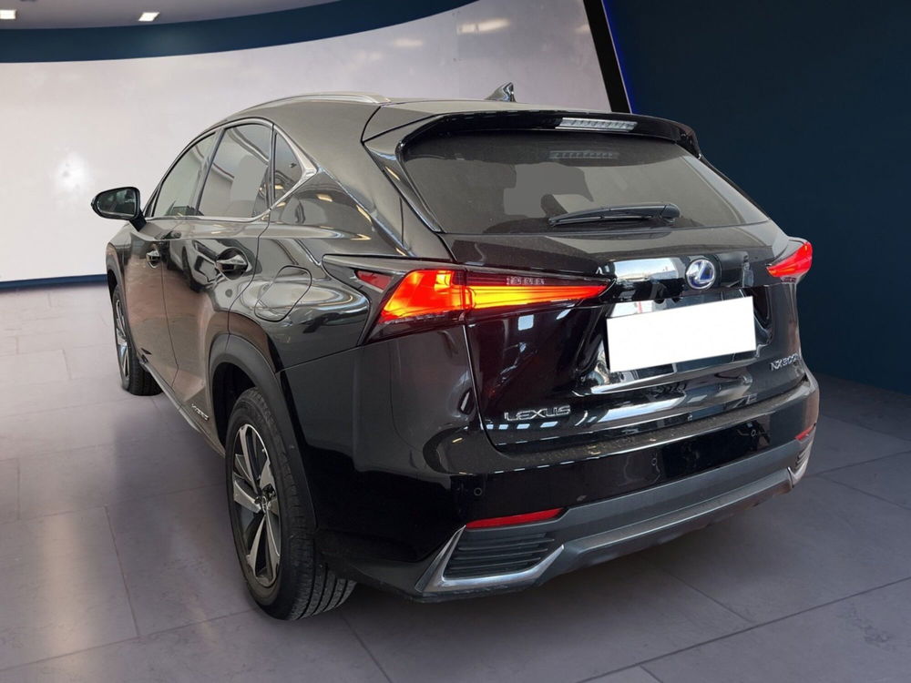 Lexus NX usata a Torino (6)