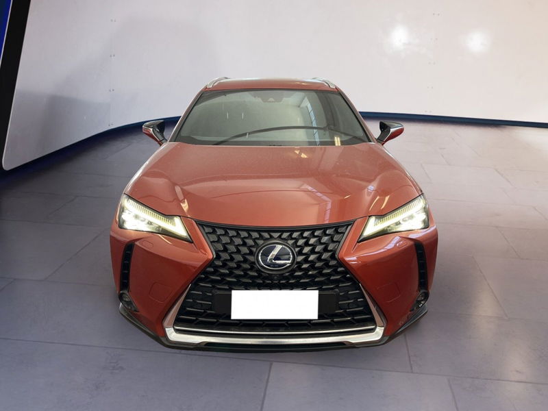 Lexus UX 300h 2.0 Luxury 4wd cvt del 2020 usata a Torino