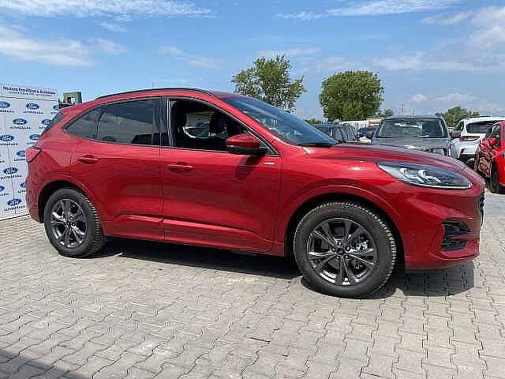 Ford Kuga usata a Firenze (14)