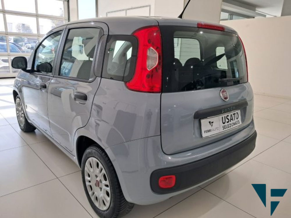 Fiat Panda usata a Treviso (4)