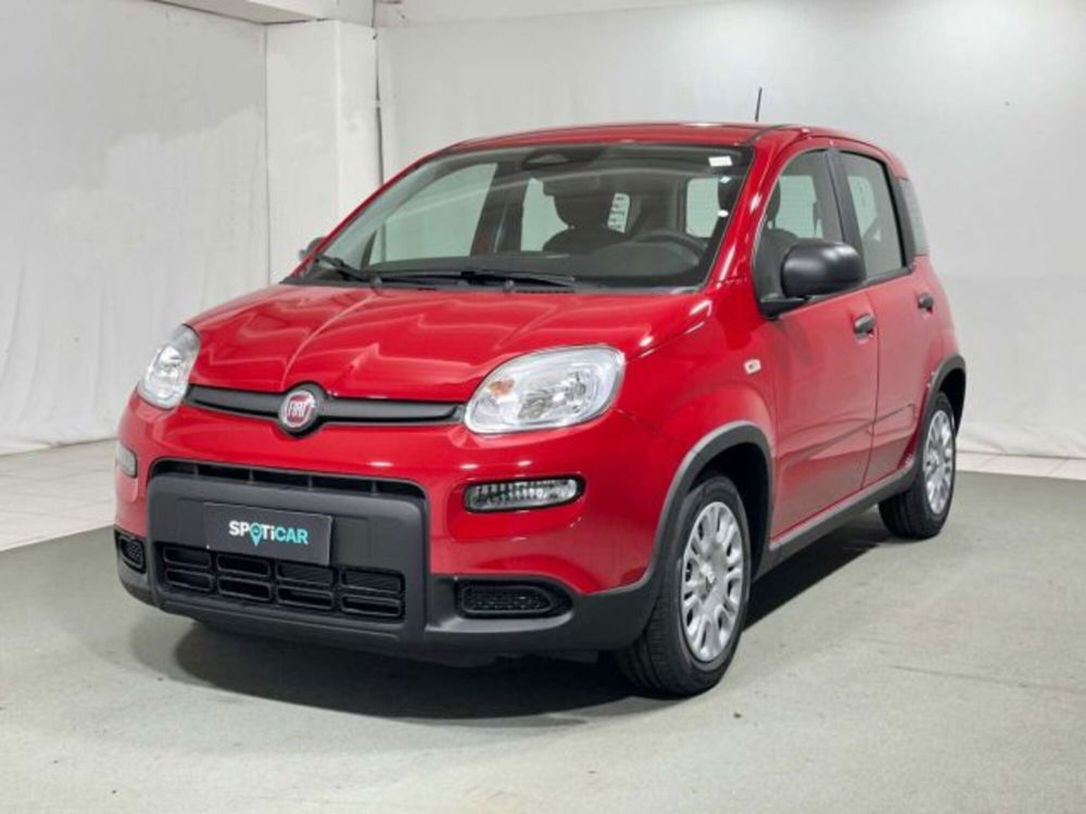 Fiat Panda nuova a Sondrio