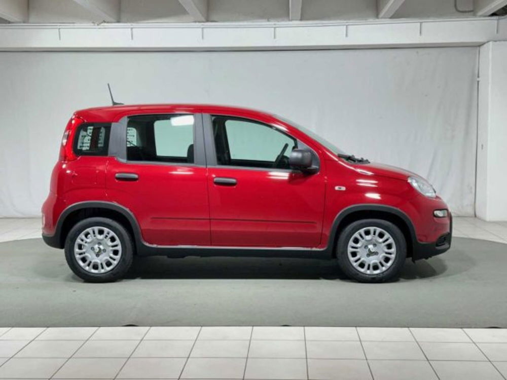 Fiat Panda nuova a Sondrio (6)