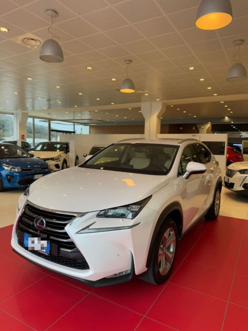 Lexus NX usata a Sassari