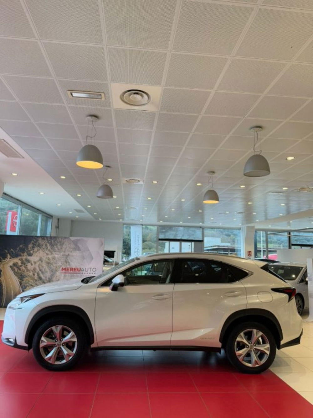 Lexus NX usata a Sassari (2)