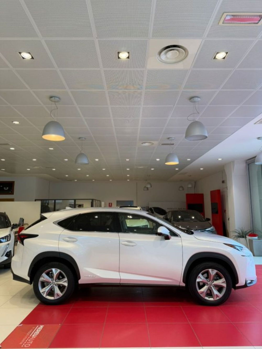 Lexus NX usata a Sassari (4)