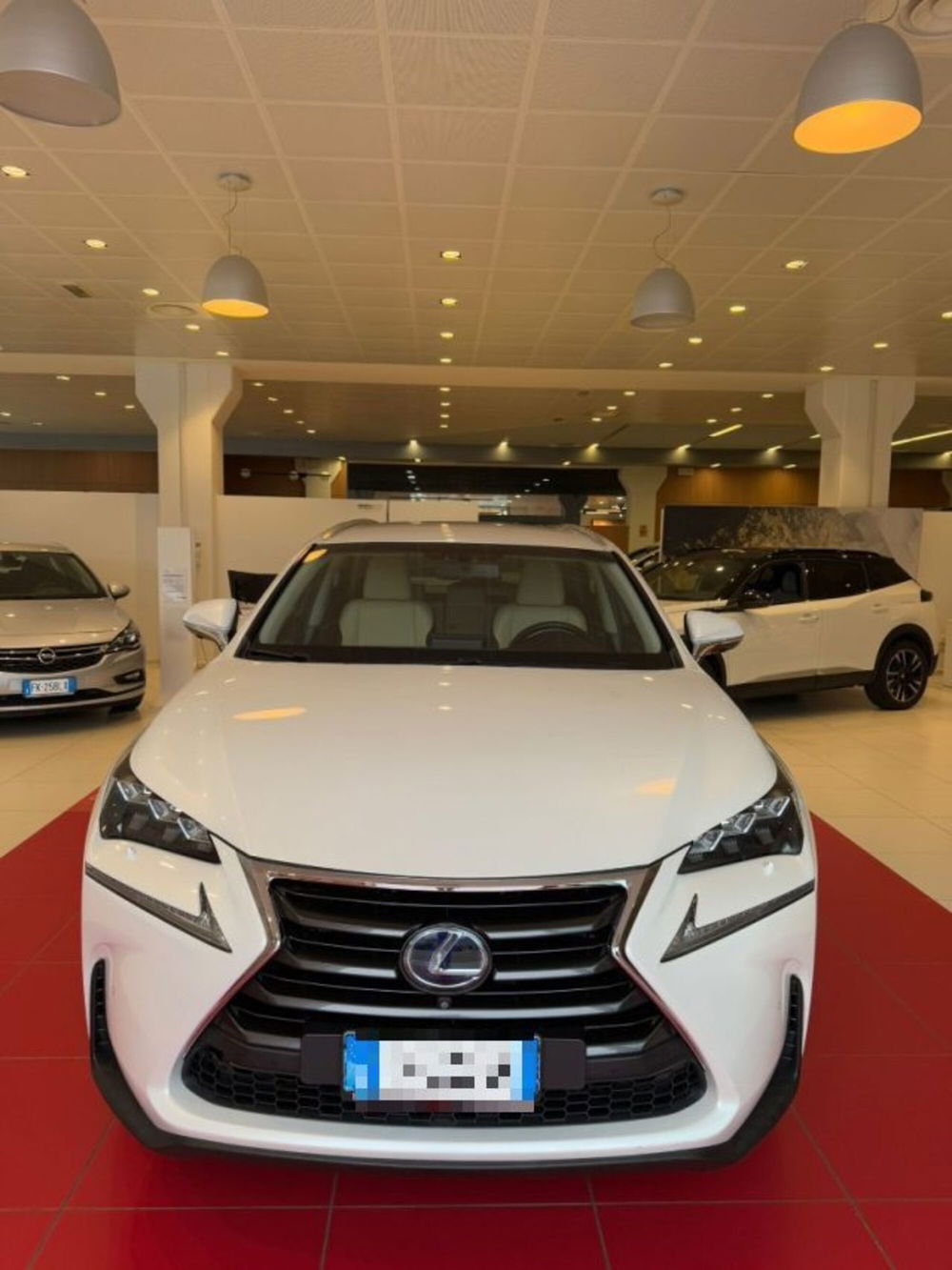 Lexus NX usata a Sassari (5)