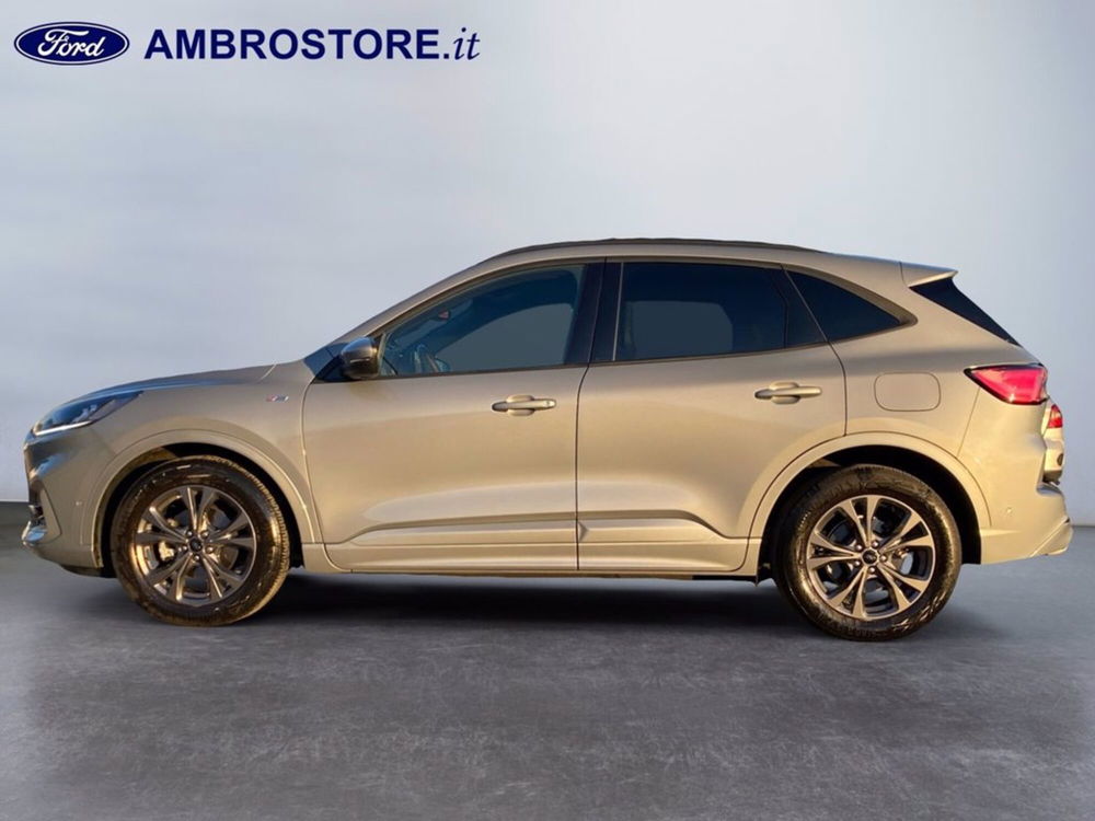 Ford Kuga usata a Milano (8)