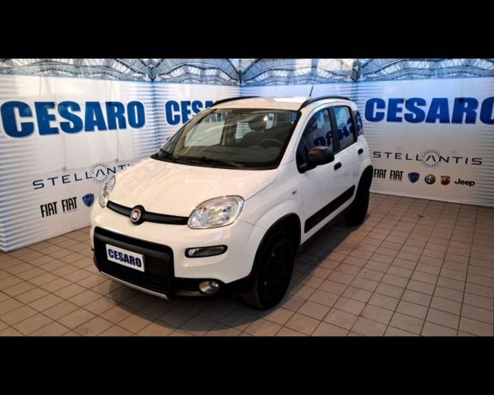 Fiat Panda usata a Aosta