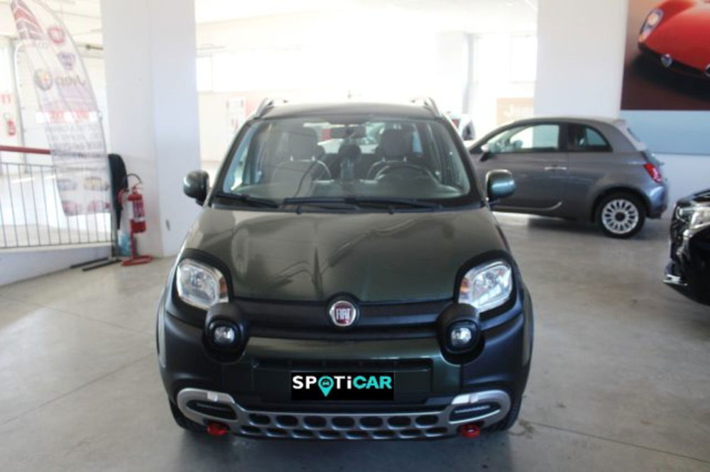 Fiat Panda Cross usata a Terni (2)