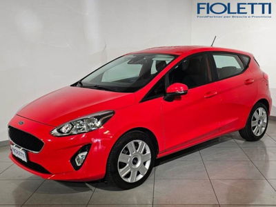 Ford Fiesta 1.5 TDCi 5 porte Plus  del 2017 usata a Brescia