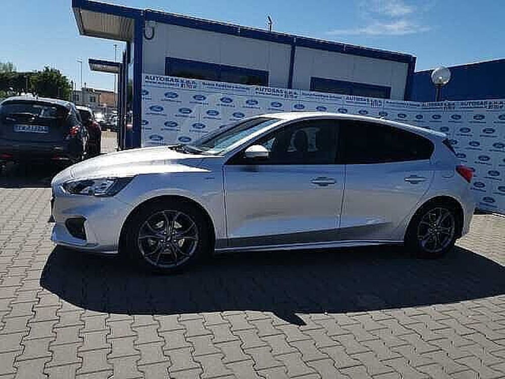 Ford Focus usata a Firenze (3)