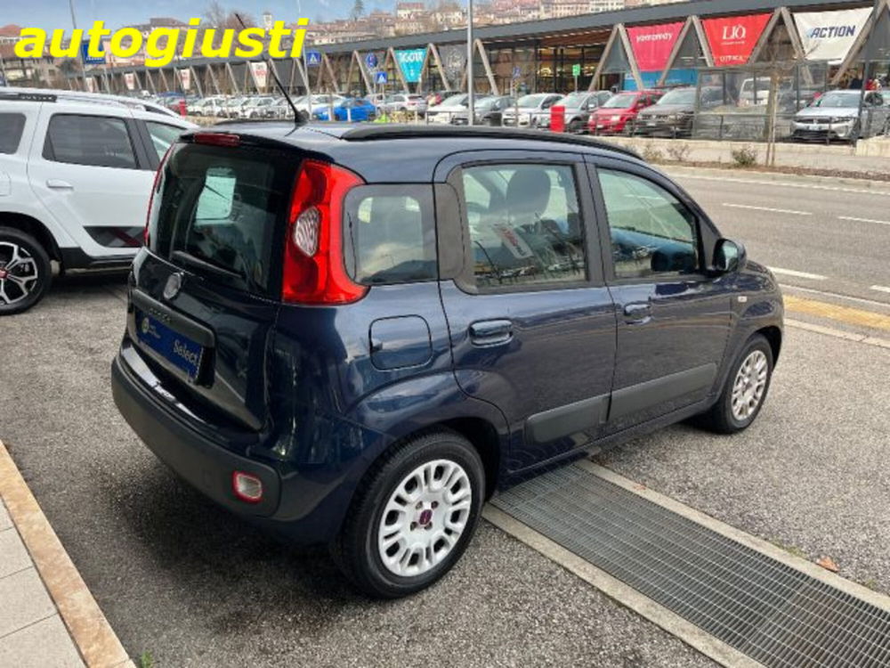 Fiat Panda usata a Belluno (4)