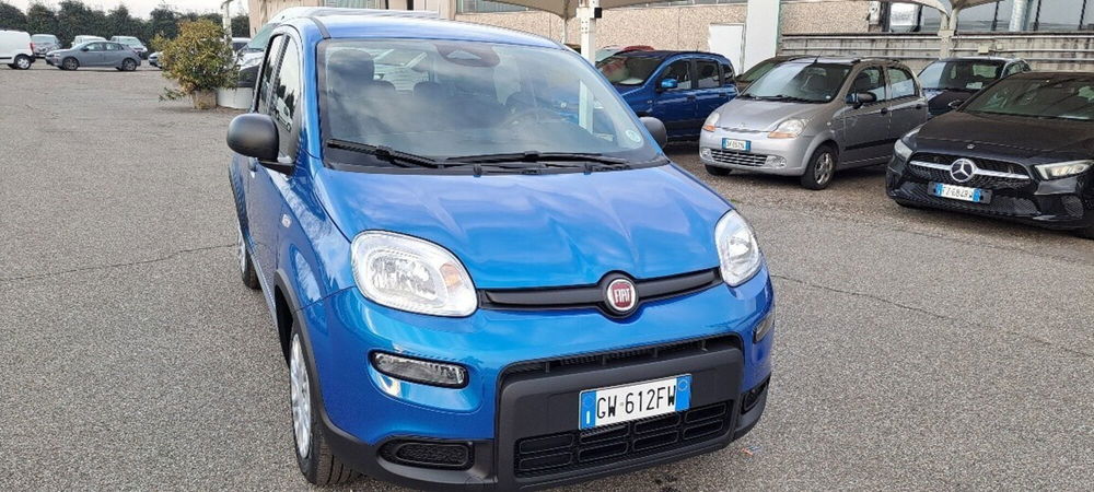 Fiat Panda nuova a Varese (2)