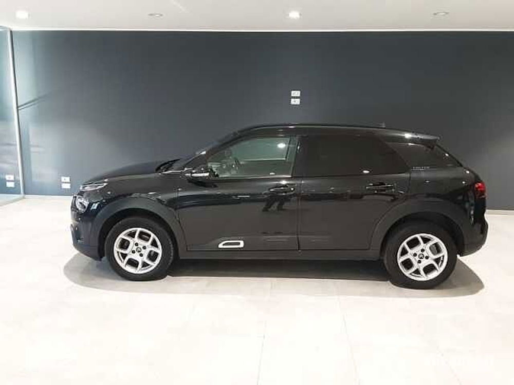 Citroen C4 Cactus usata a Udine (2)