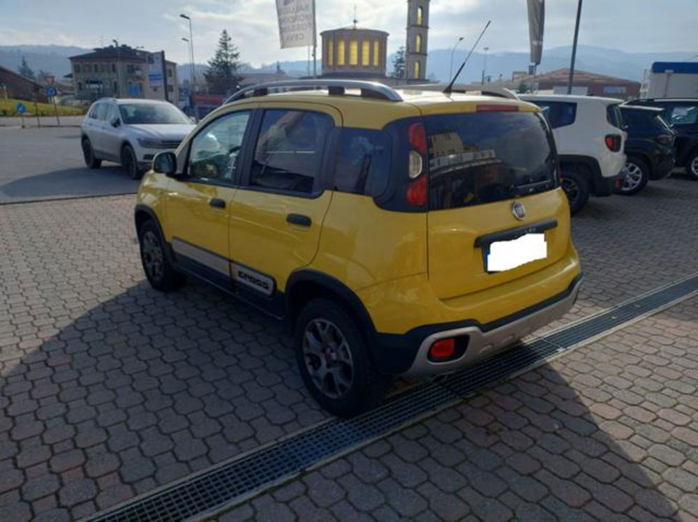 Fiat Panda Cross usata a Cuneo (4)