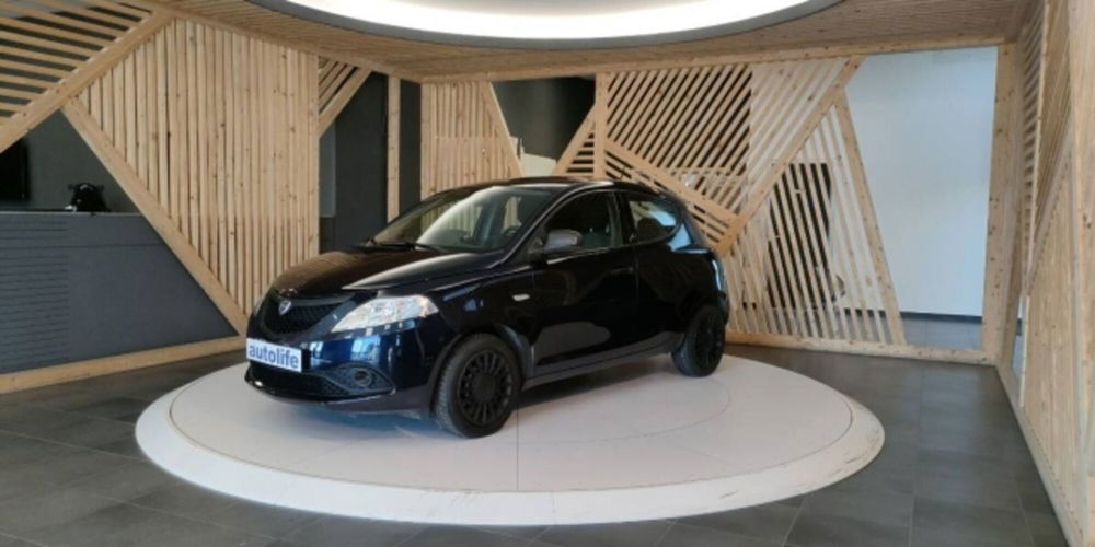 Lancia Ypsilon usata a Catanzaro (11)