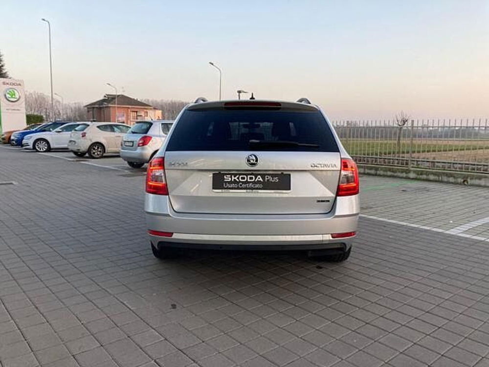 Skoda Octavia usata a Novara (4)