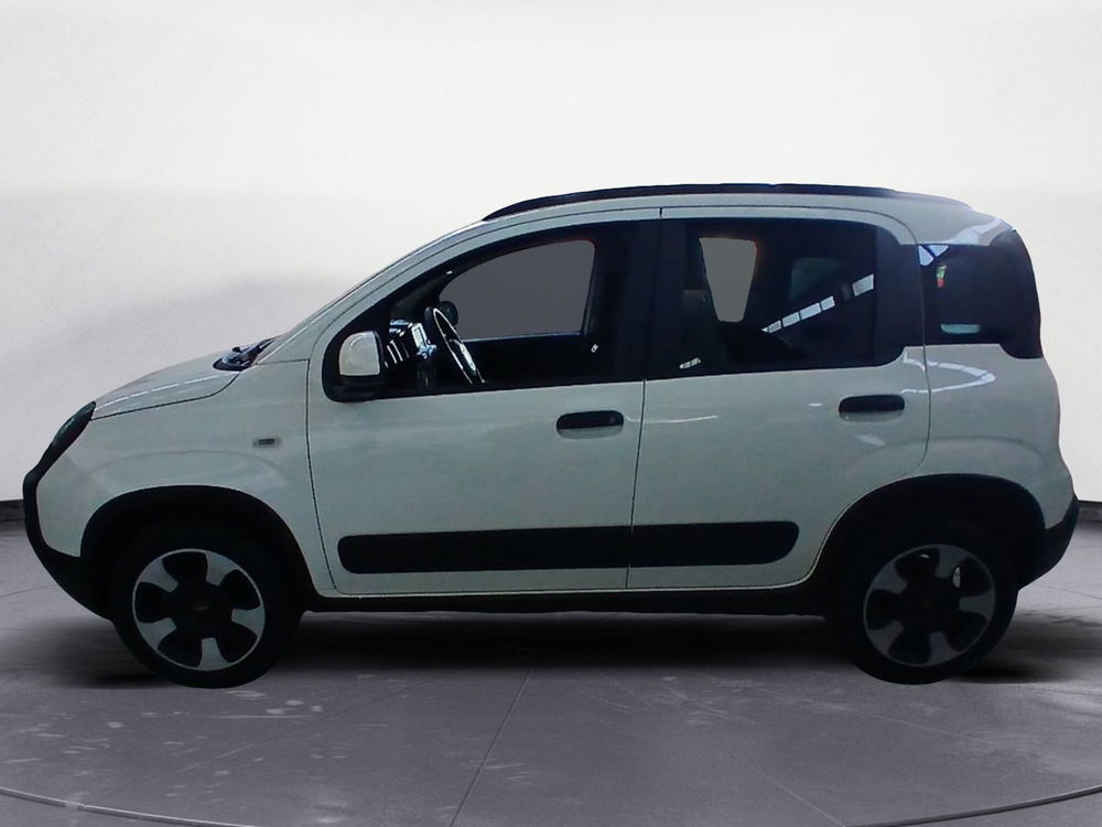 Fiat Panda Cross usata a Lecce (2)