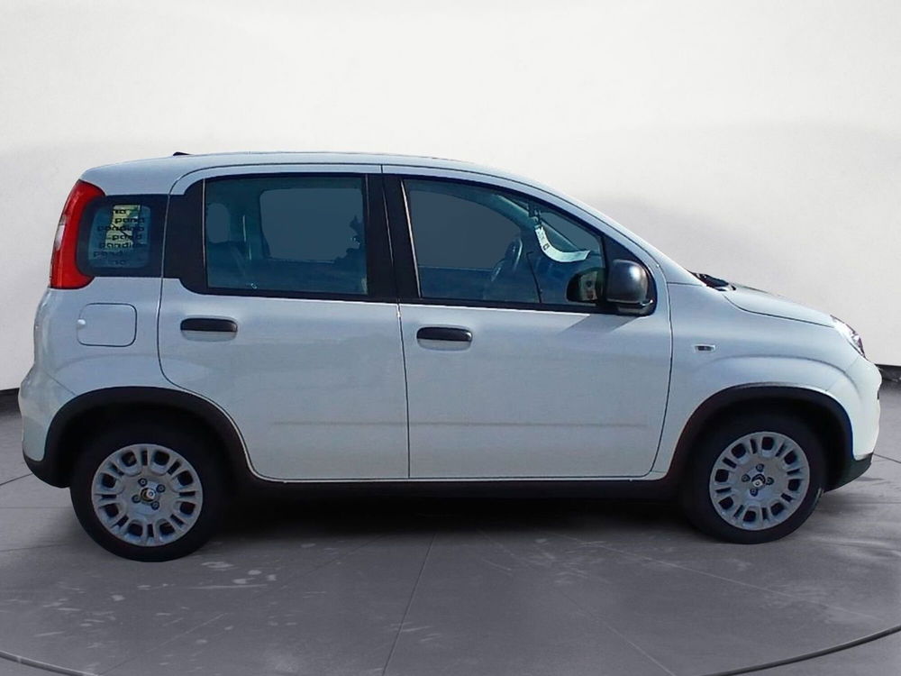 Fiat Panda Cross nuova a Lecce (7)