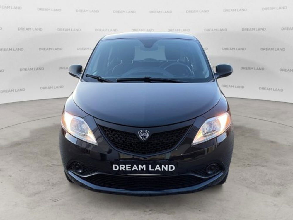 Lancia Ypsilon usata a Livorno (2)