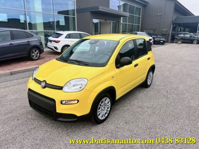 Fiat Panda 1.0 firefly hybrid s&amp;s 70cv 5p.ti nuova a Pieve di Soligo