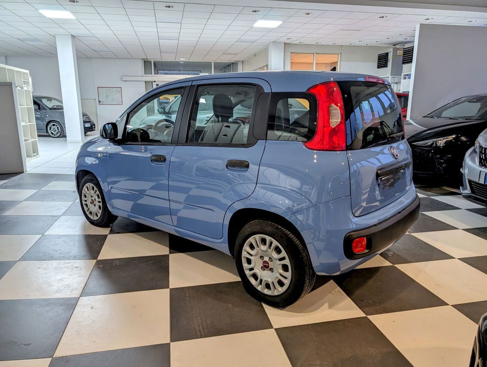 Fiat Panda usata a Arezzo (3)