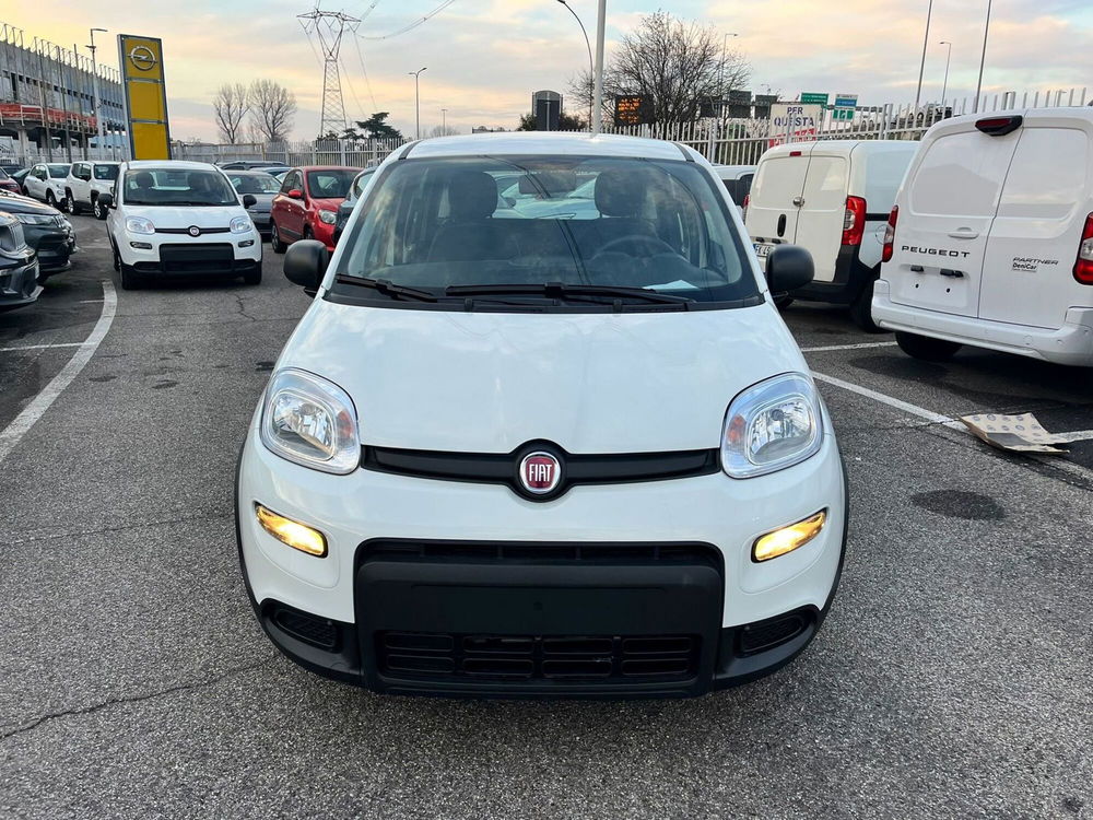 Fiat Panda Cross nuova a Milano (2)