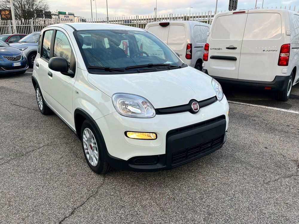 Fiat Panda Cross nuova a Milano (3)