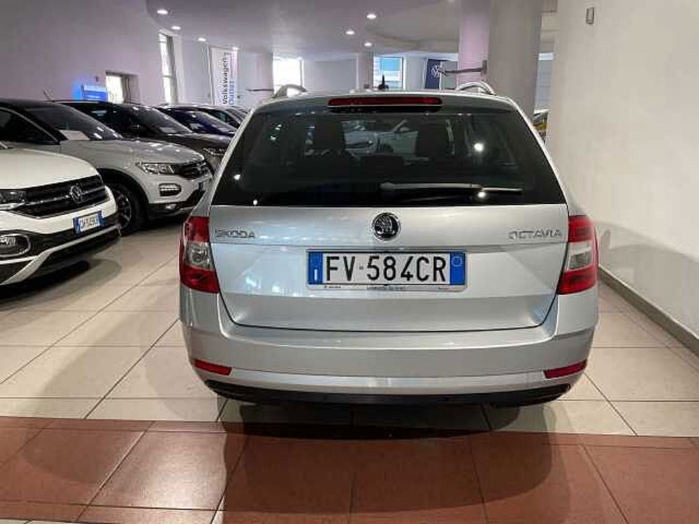 Skoda Octavia usata a Genova (4)