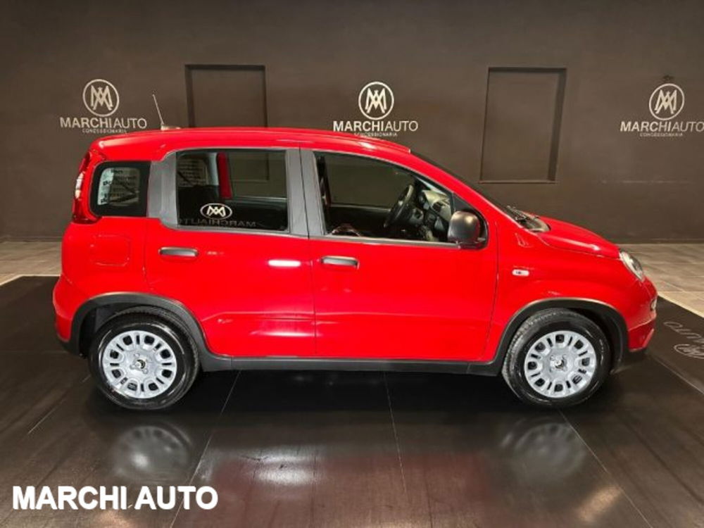 Fiat Panda nuova a Perugia (4)