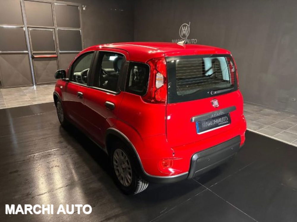 Fiat Panda nuova a Perugia (7)