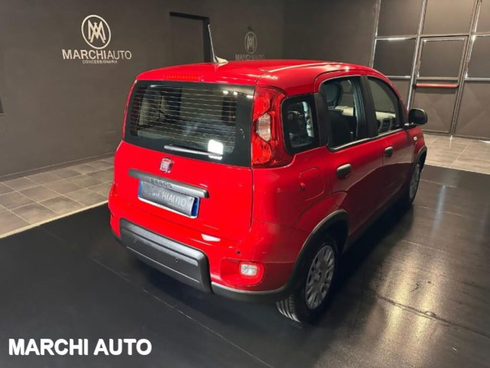 Fiat Panda nuova a Perugia (5)