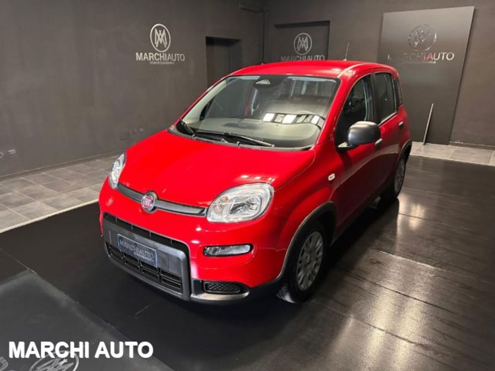 Fiat Panda nuova a Perugia