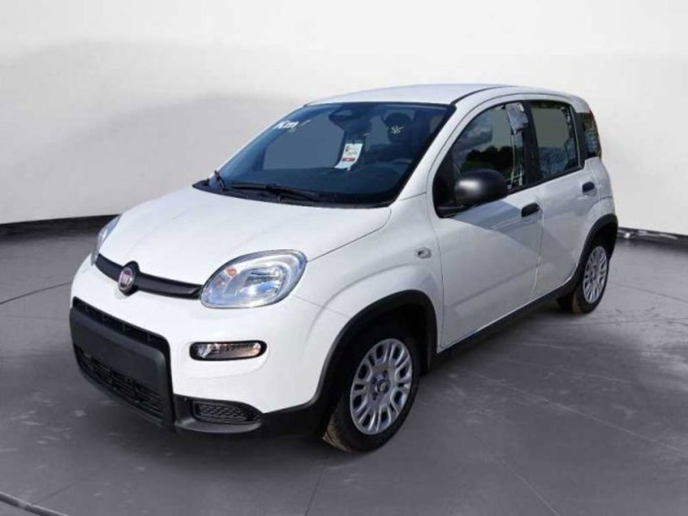 Fiat Panda nuova a Lecce