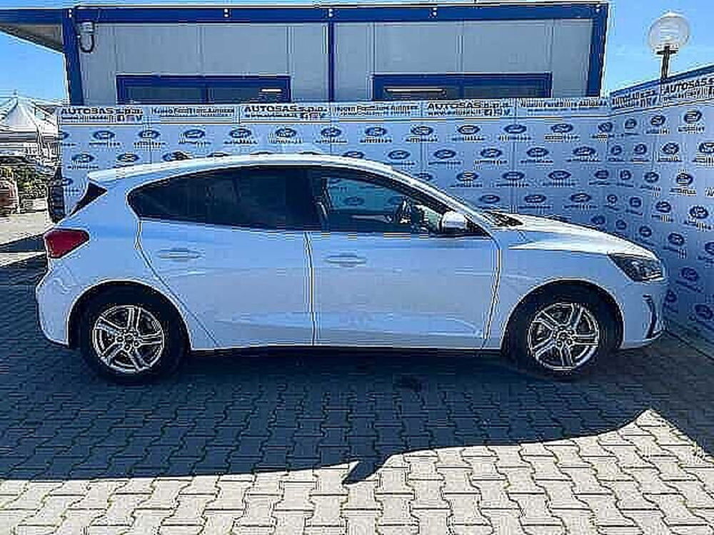 Ford Focus usata a Firenze (12)