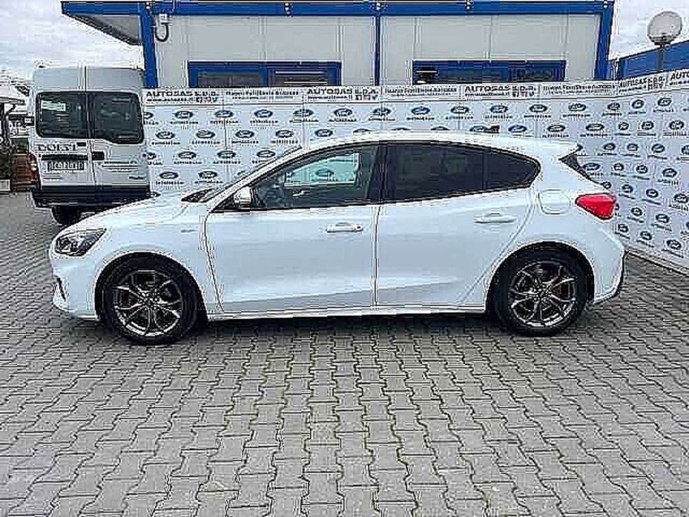 Ford Focus usata a Firenze (3)