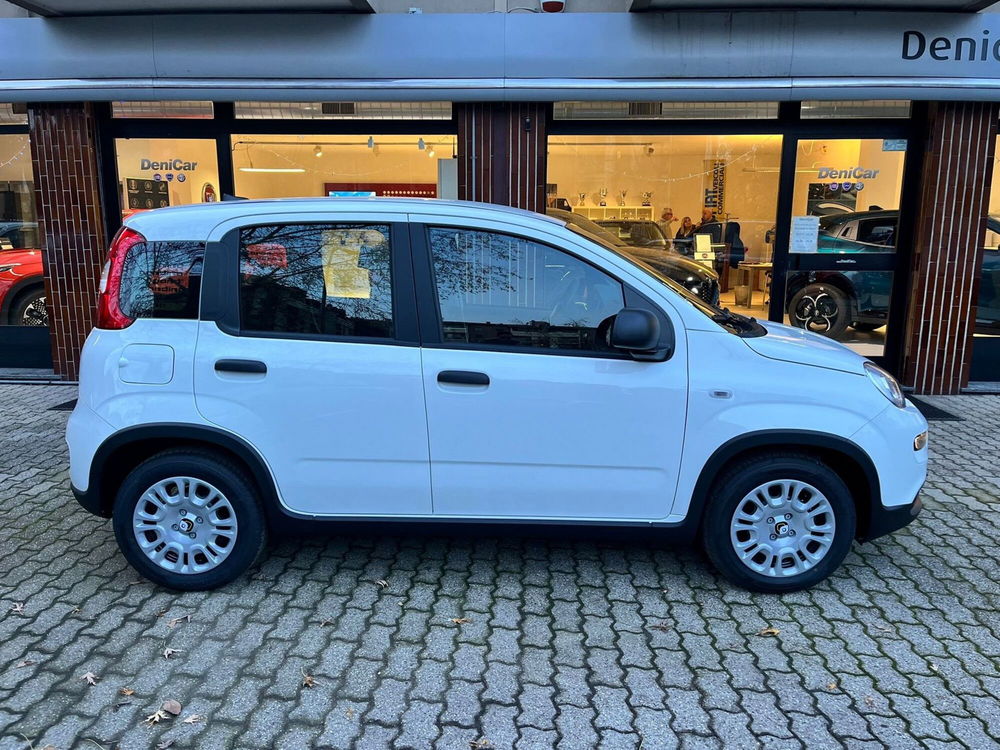 Fiat Panda Cross nuova a Milano (5)