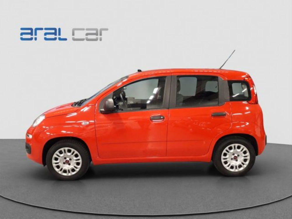 Fiat Panda usata a Torino (3)