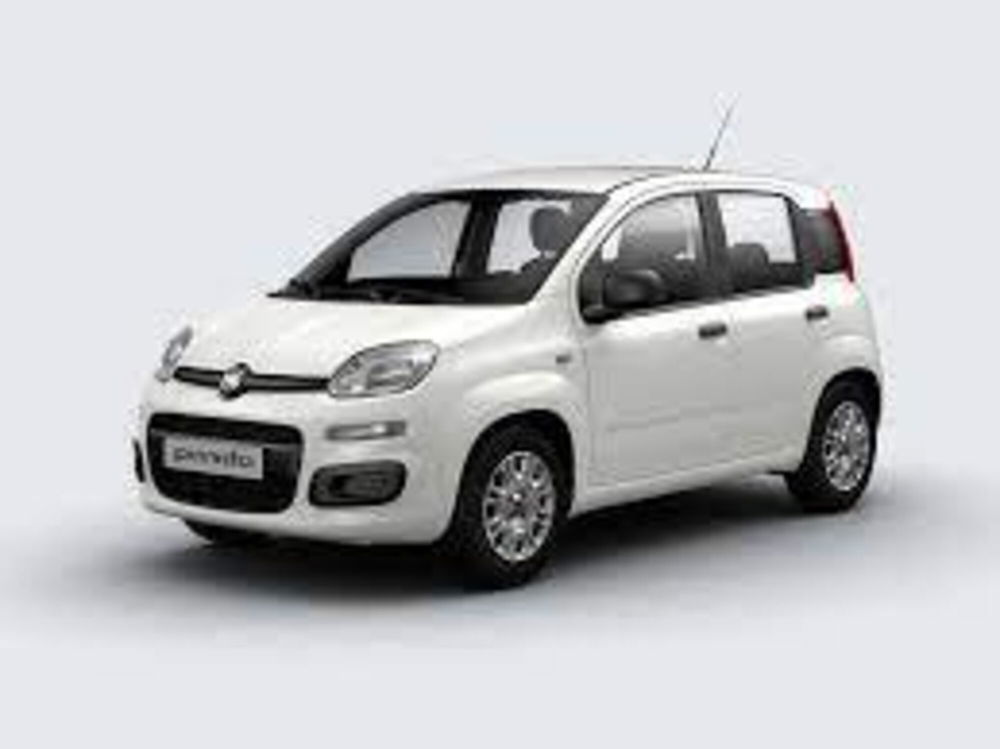 Fiat Panda Cross nuova a Torino