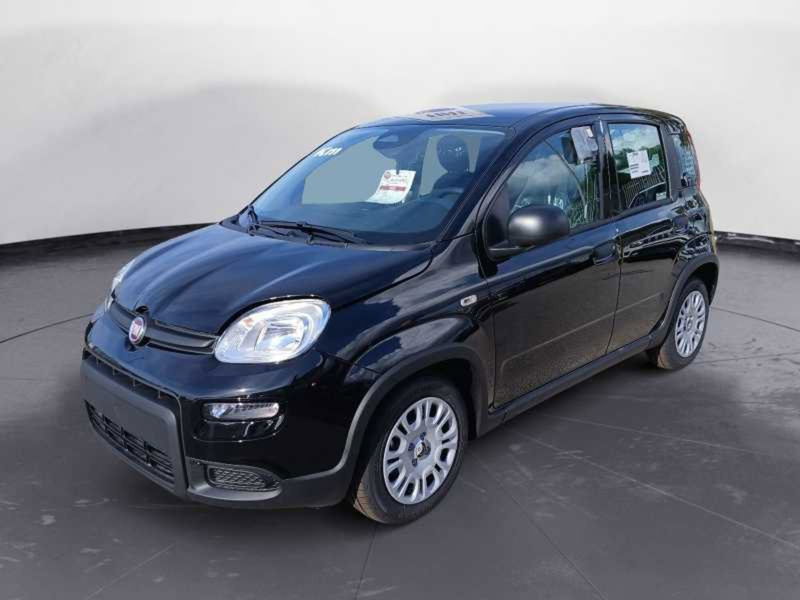 Fiat Panda Cross Cross 1.0 FireFly S&S Hybrid  nuova a Surbo