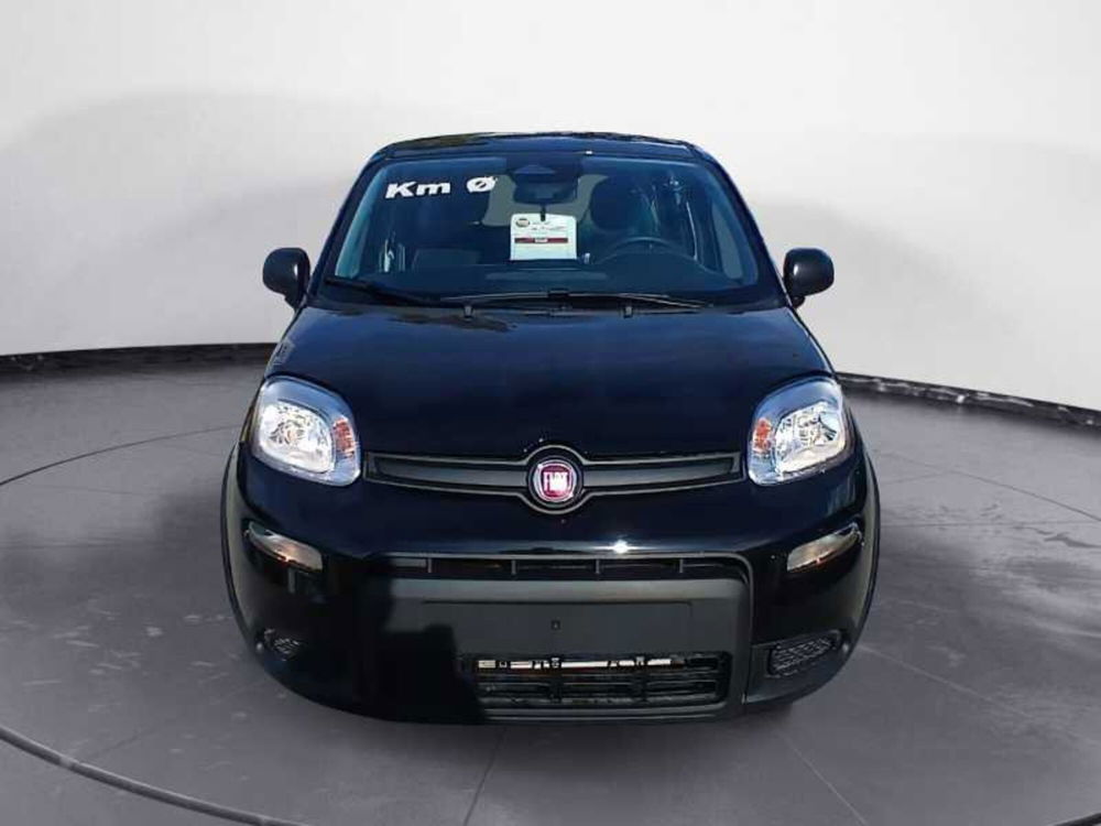 Fiat Panda Cross nuova a Lecce (2)