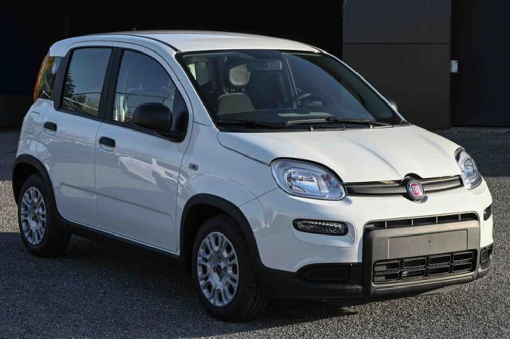 Fiat Panda nuova a Torino (3)