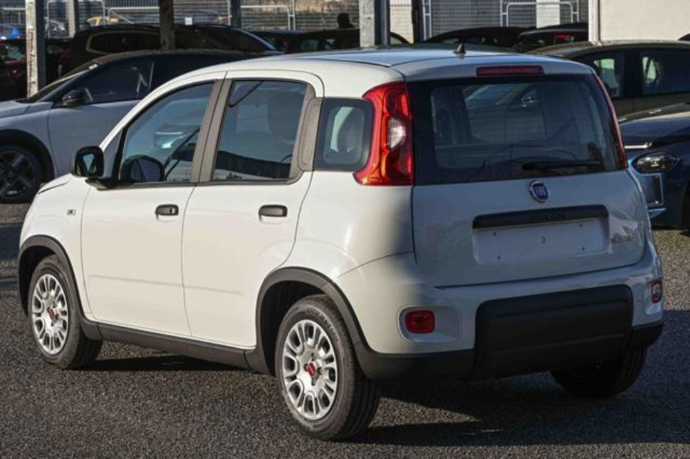 Fiat Panda nuova a Torino (7)