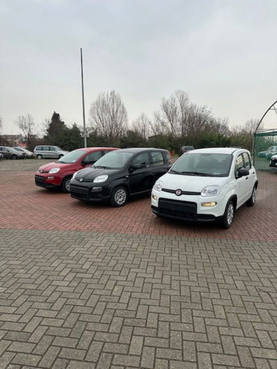 Fiat Panda 1.0 firefly hybrid s&amp;s 70cv 5p.ti nuova a Novara